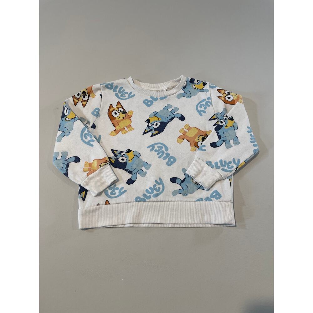 Unisex Bluey Size 4T White Sweatshirt – Bluey Graphic